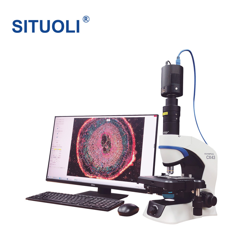 显微镜自动聚焦系统