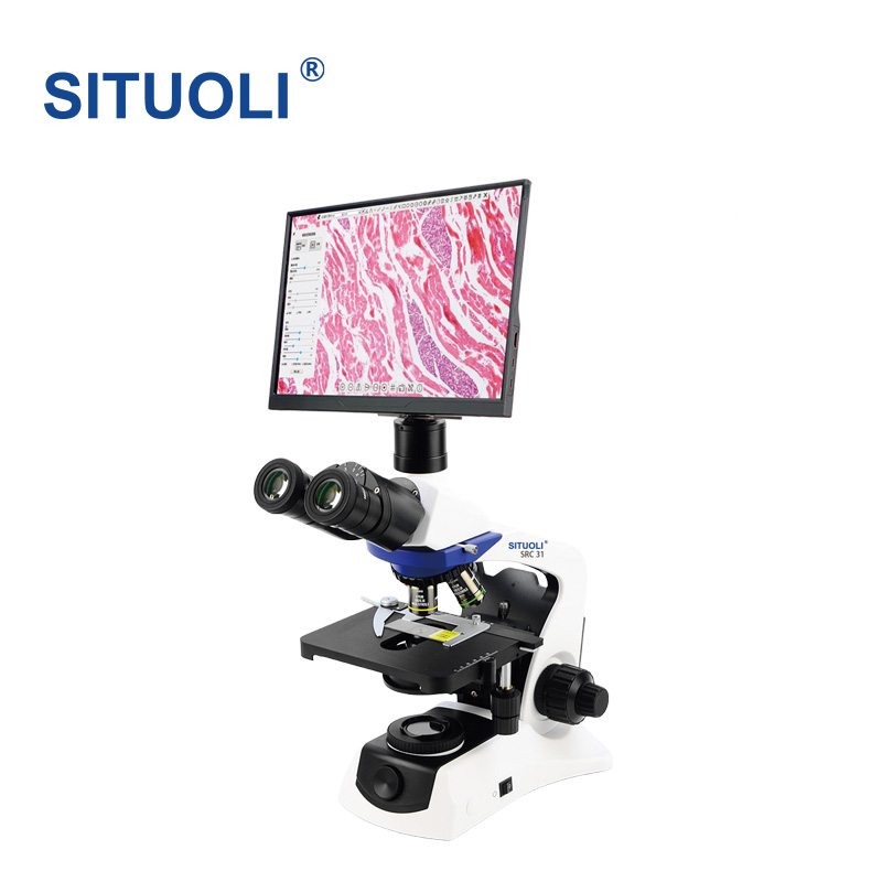 SRC 31 正置生物显微镜