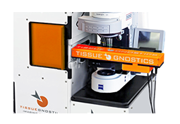 15988550988407.png 0250138170.png