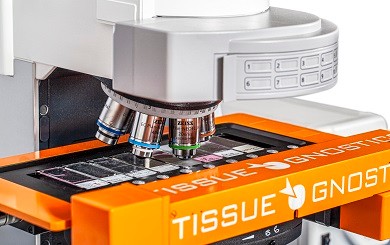 15988560208558.jpg 15988560208558.jpg