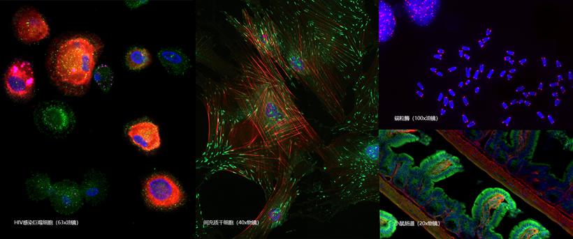 15988574158068.png 0828051689.png