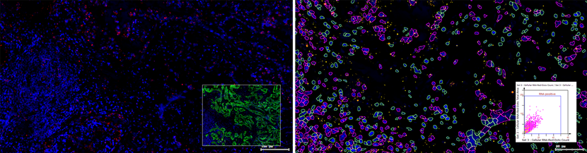 15988575283504.png 0229309681.png