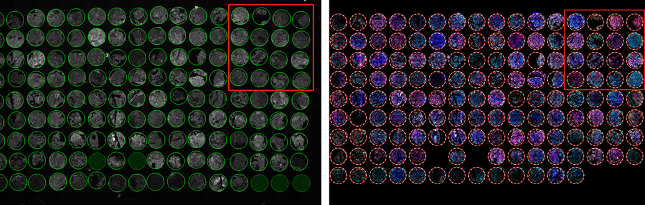 15988576013524.png 1146223964.png