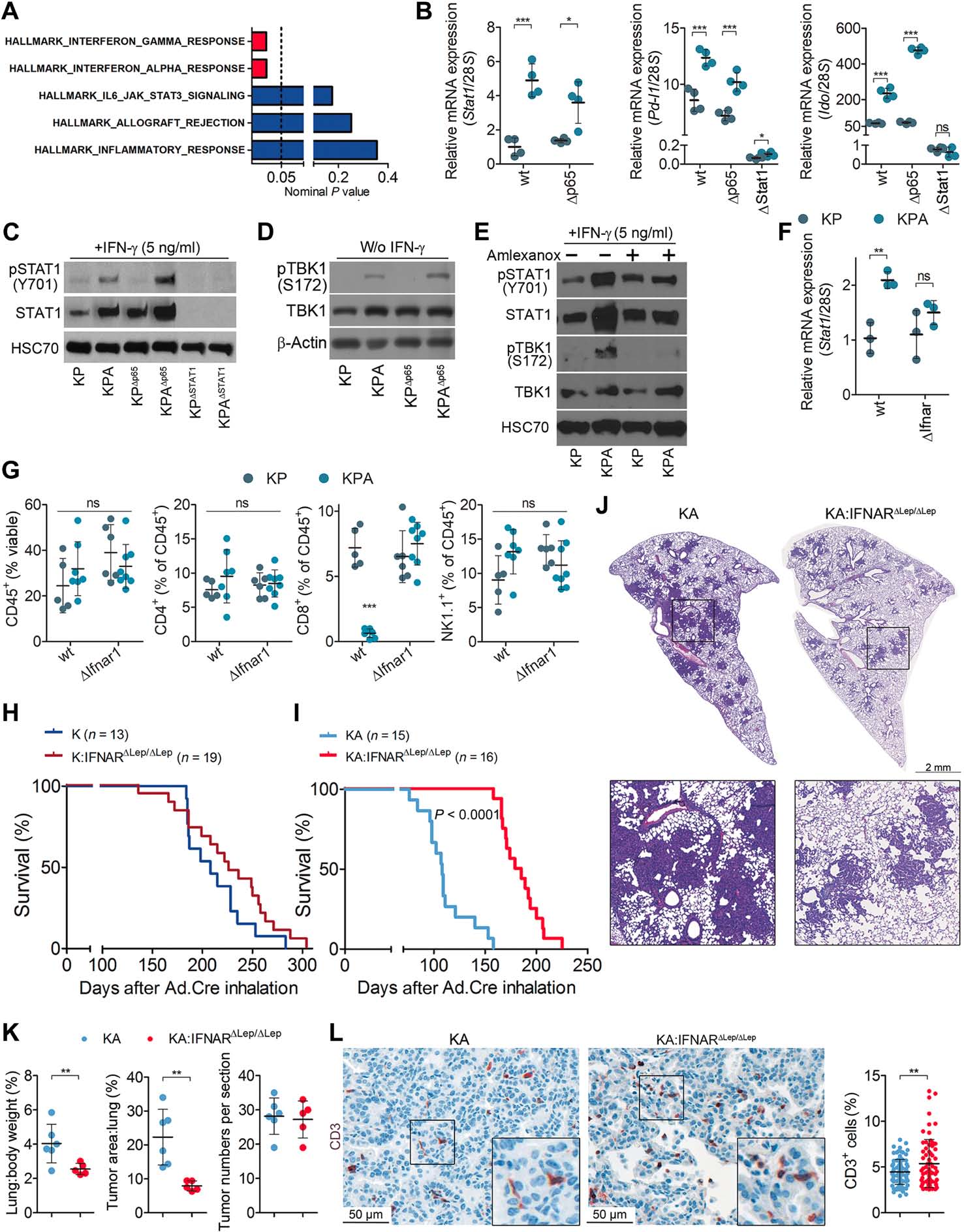 23eabc3911.jpg 23eabc3911.jpg