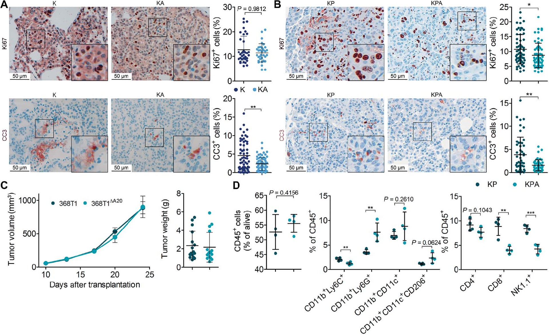 eabc3911.jpg eabc3911.jpg