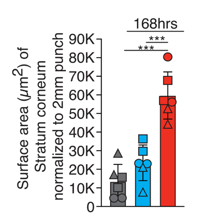 000035.png 000035.png