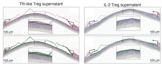 001112.png 001112.png