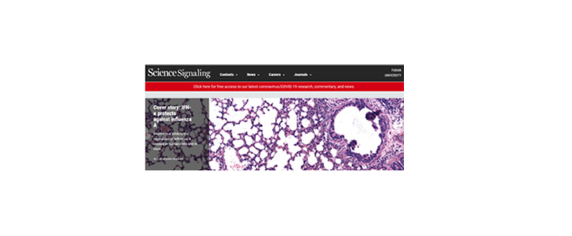 Science Signaling| 揭示IFN-κ抑制RNA病毒复制的分子机制