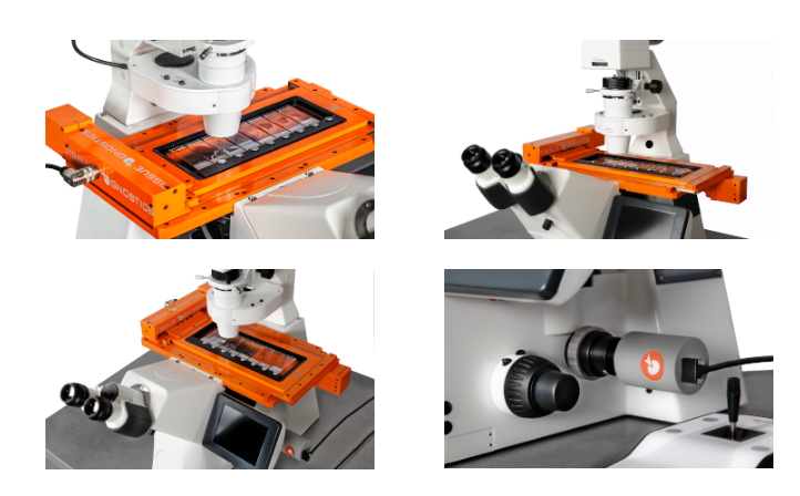 15922058675530.png image.png