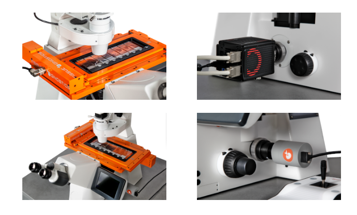 15922054855592.png image.png