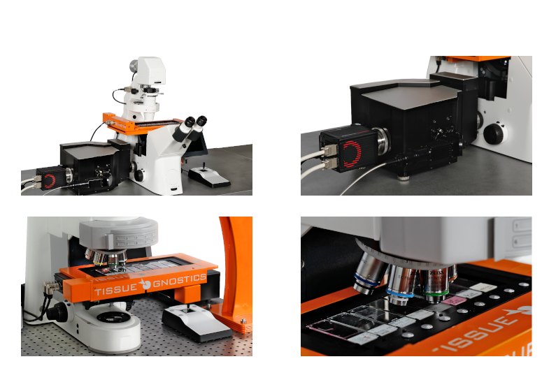 15922047851767.png image.png