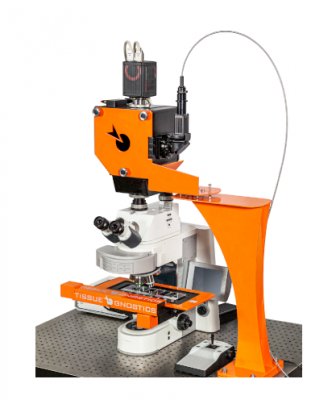 15922047637321.png image.png