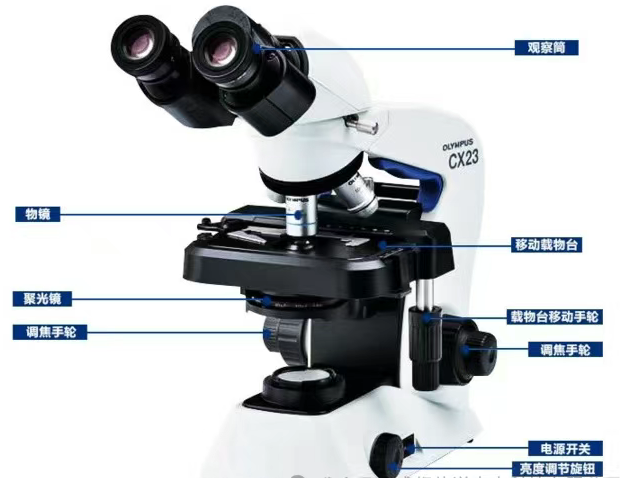 显微镜的选型技巧及主要参数